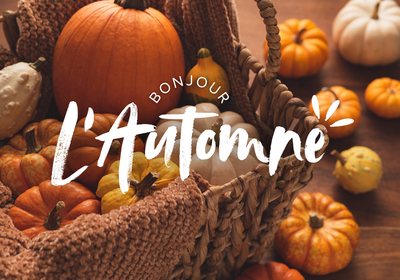 Automne, photo de pleins de citrouilles et courges oranges et jaunes