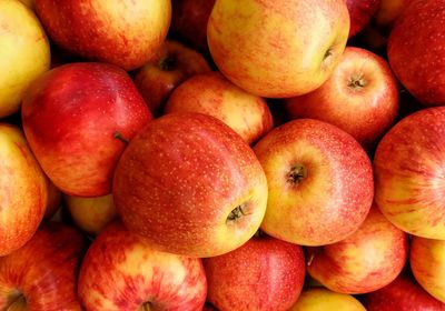 Bienfaits de la pomme