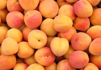 bienfaits des abricots